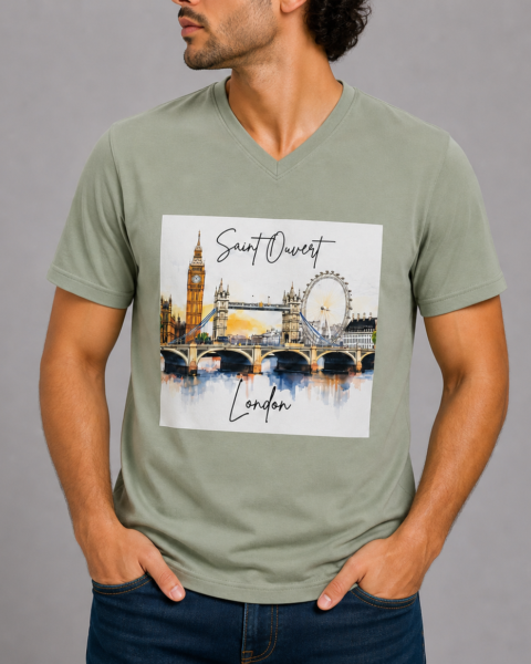 Sage Green Deep V-Neck Pure Cotton T-Shirt