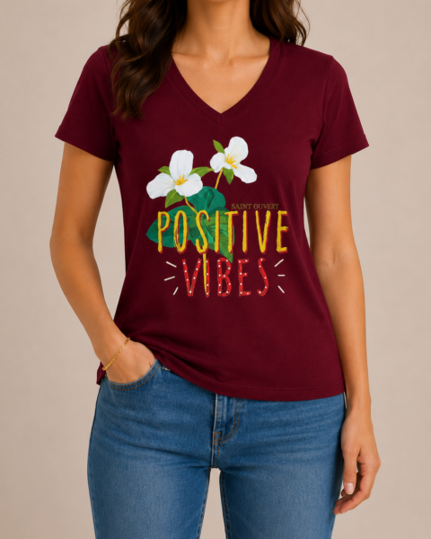 Burgundy Deep V-Neck Pure Cotton T-Shirt